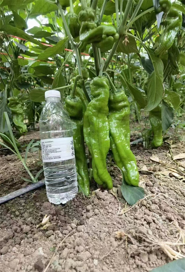 ����